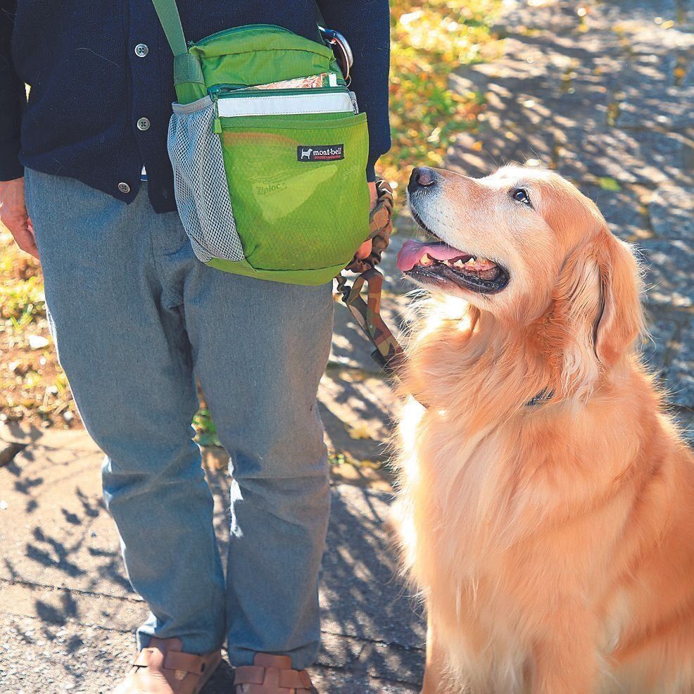 散歩バッグはショルダータイプ