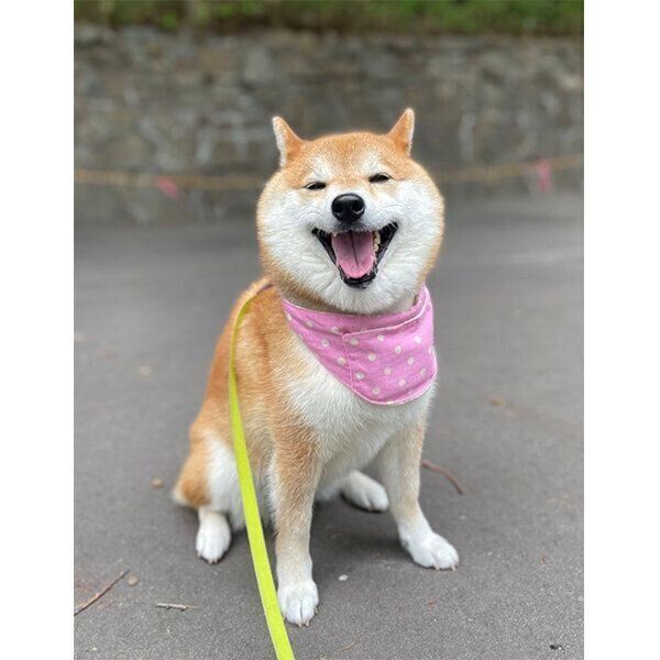 笑顔のハルちゃん