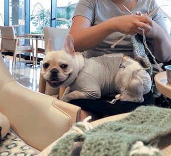 写真／吉田篤史