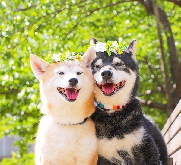 寄り添うゆりあちゃんとけんしろうくん