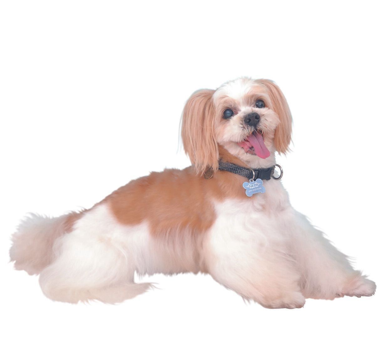 撮影／尾﨑たまき