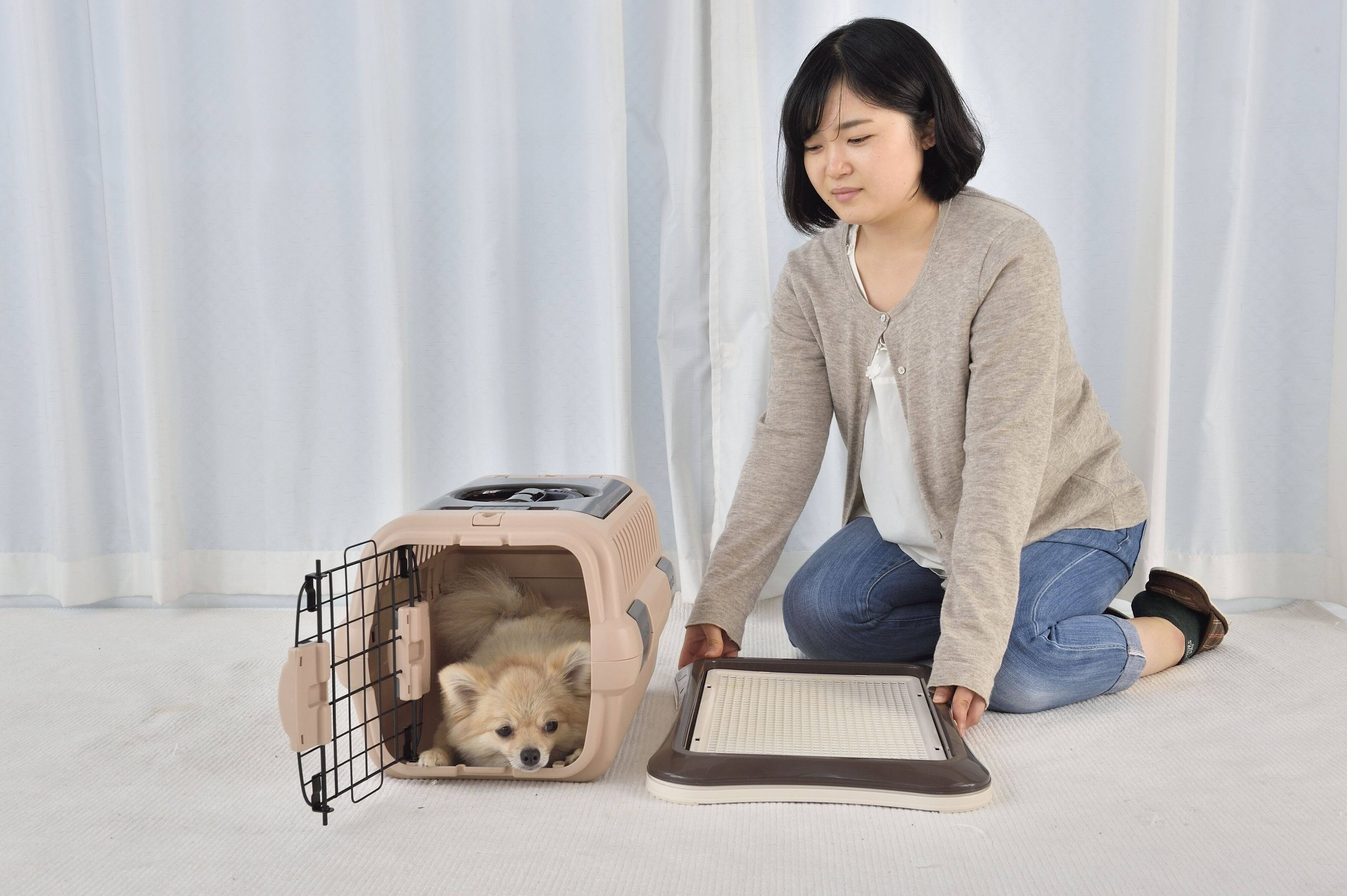 トイレのニオイが、ハウスまで……（写真／佐藤正之）