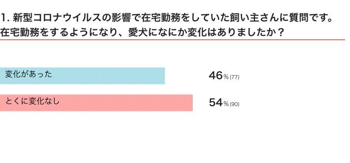 いぬのきもちWEB MAGAZINE　犬飼いさんの在宅ワークに関するアンケートvol.01