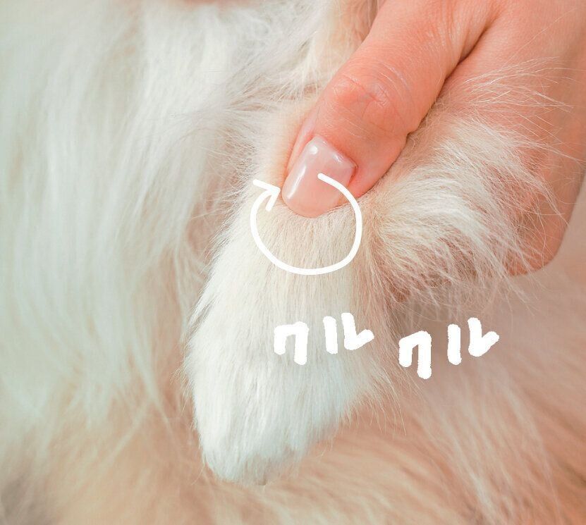 足先をマッサージする