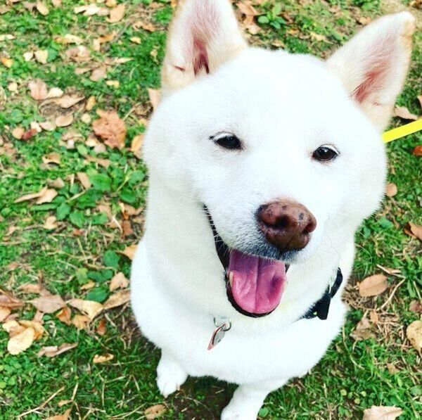 笑顔の福来くん