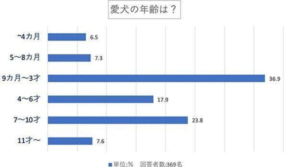 愛犬の年齢は？