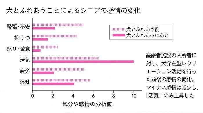 犬とふれあうことによるシニアの感情の変化