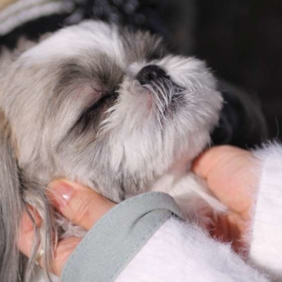 マッサージ気持ちいいなぁ。