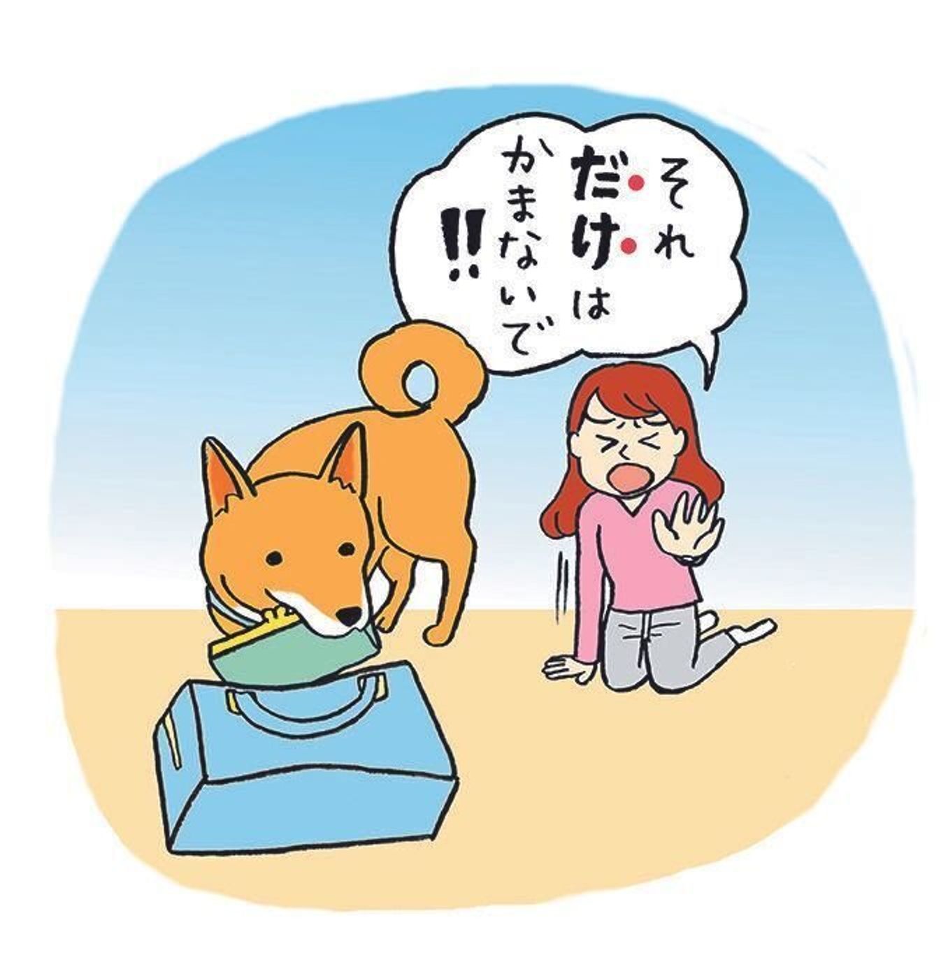 犬は死を理解できない 犬の知能のフシギを解説 いぬのきもちweb Magazine 犬は死を理解できない 犬の知能のフシギを解説 いぬのきもちweb Magazine