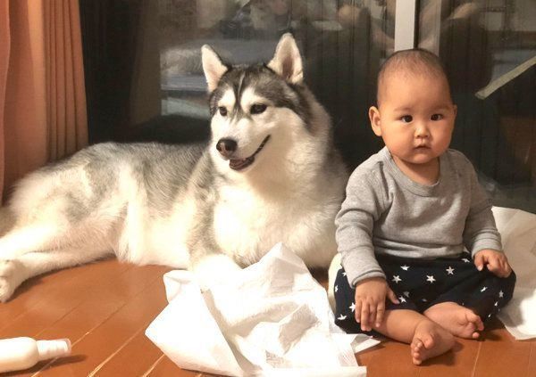 寄り添うアルカちゃんとこつるくん