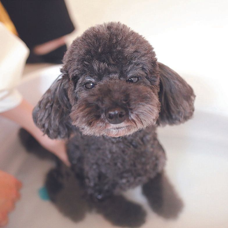 撮影／尾﨑たまき