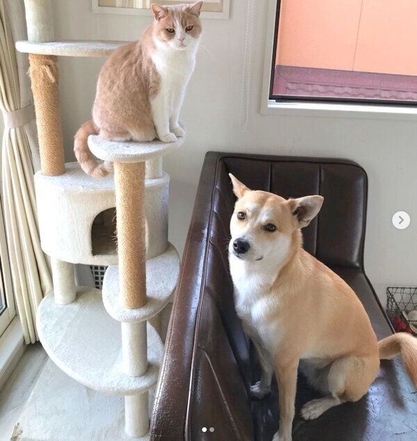 くるみちゃんと小虎くん