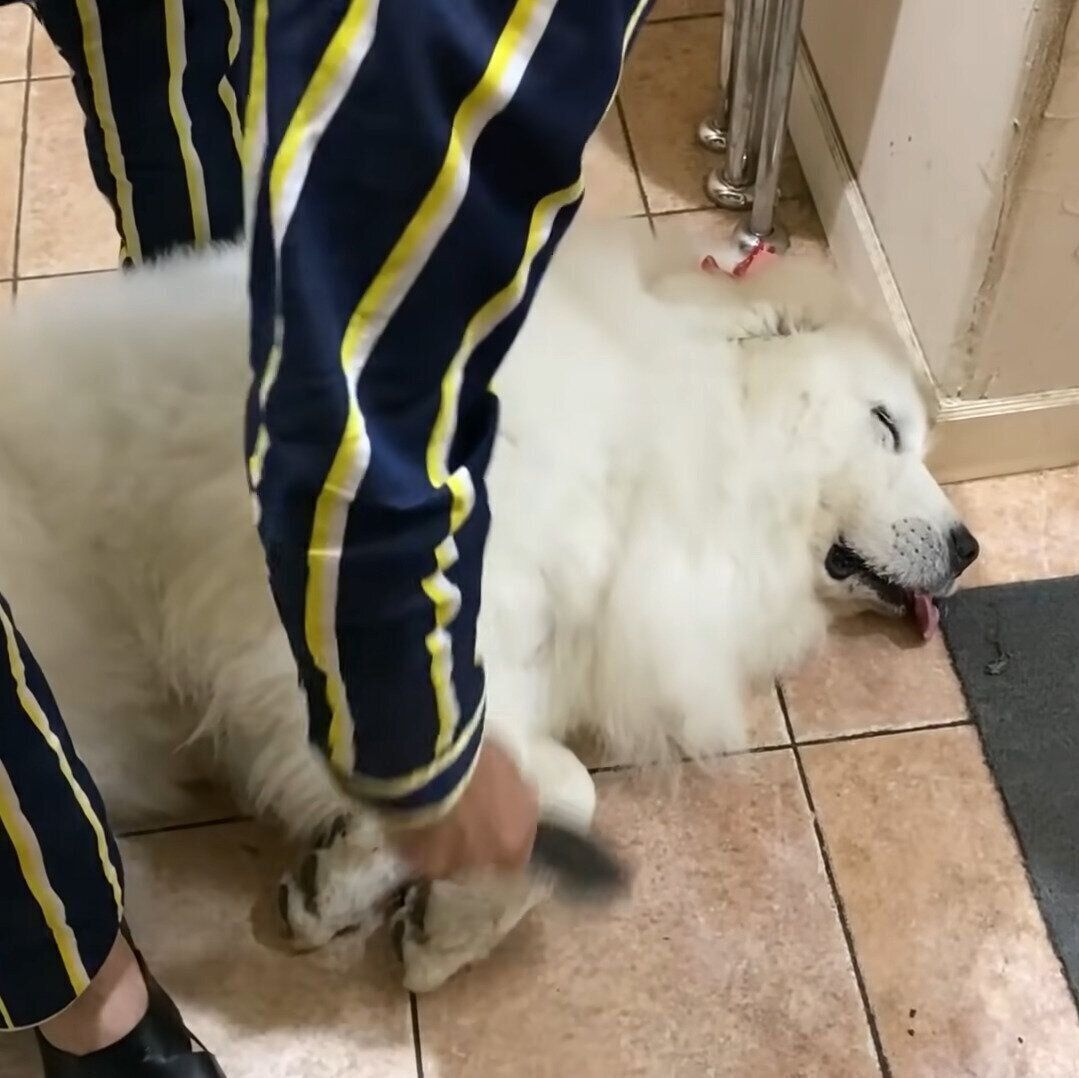 気づいているけど起きないルンルンちゃん