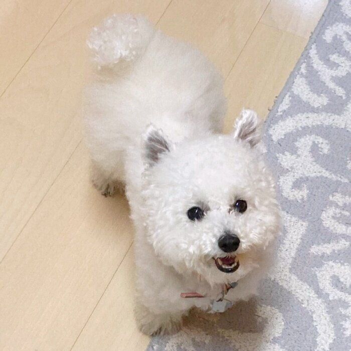 おやつをもらえるとわかってにっこり！ 笑顔が愛らしいくるるくん