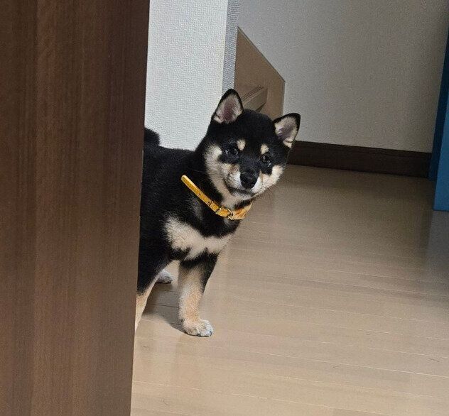 生後3カ月ごろのつむぎちゃん