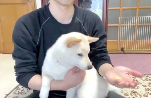 絶望感がハンパないはるちゃん