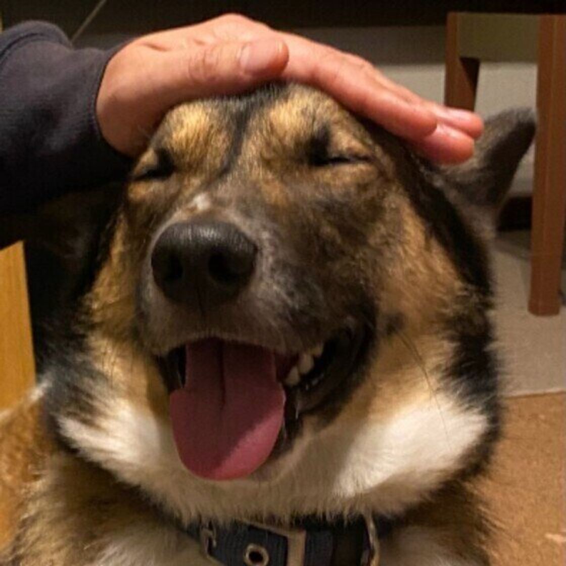 Wpbnk04re525bm Wpbnk04re525bm