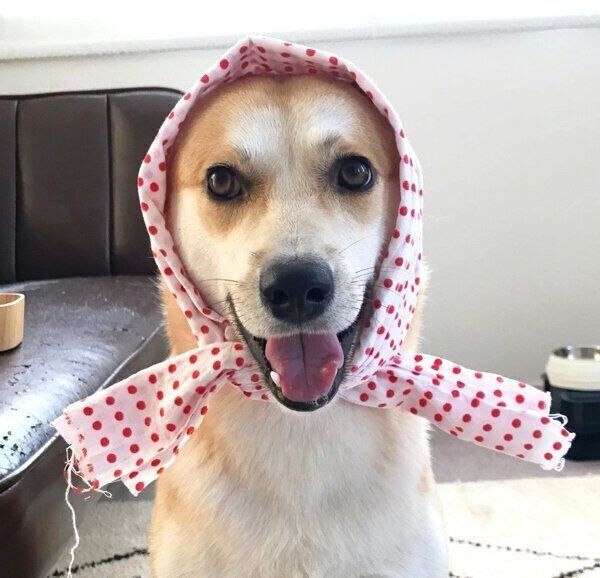 笑顔を見せるくるみちゃん