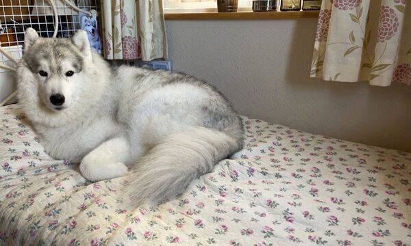 場所を半分譲ってくれたレイくん