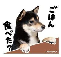 琥大朗ちゃんのスタンプ