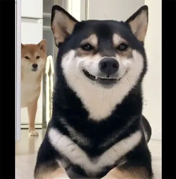 笑っているように見えるゆずちゃん