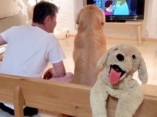 パパさんと「アルプスの少女ハイジ」を鑑賞するアランくん