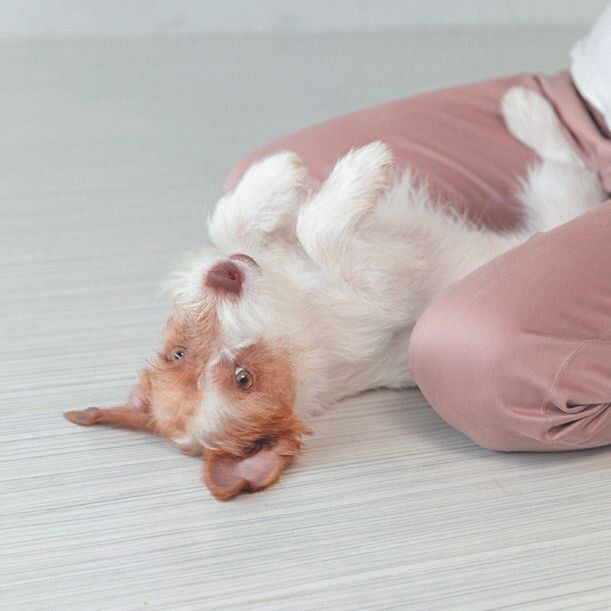 撮影／伊東武志