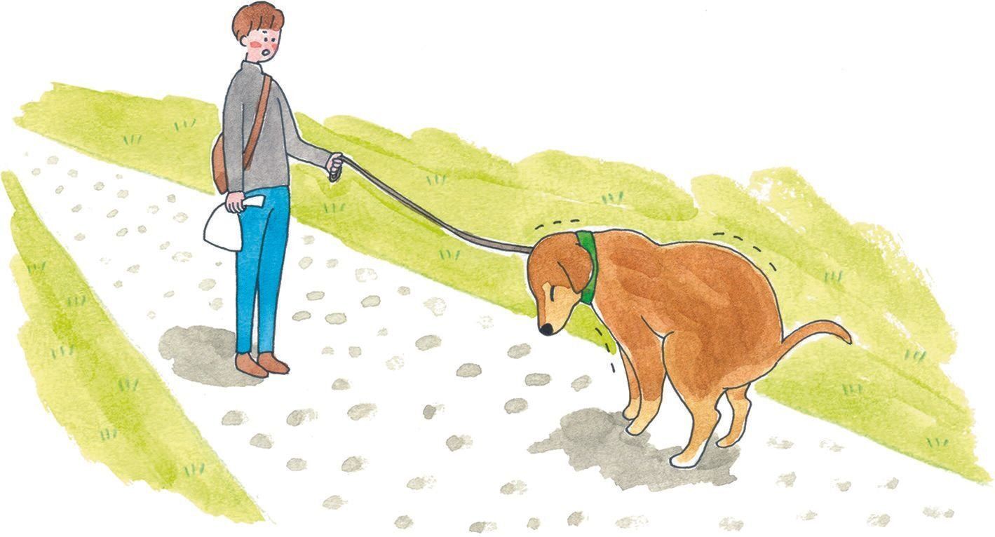 イラスト／今井夏子