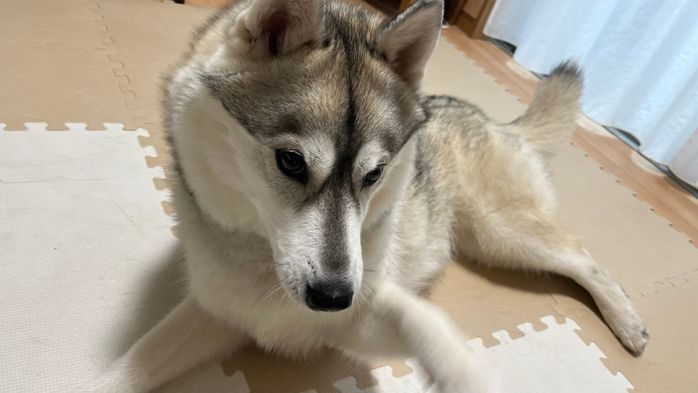 真剣な表情の茉莉ちゃん