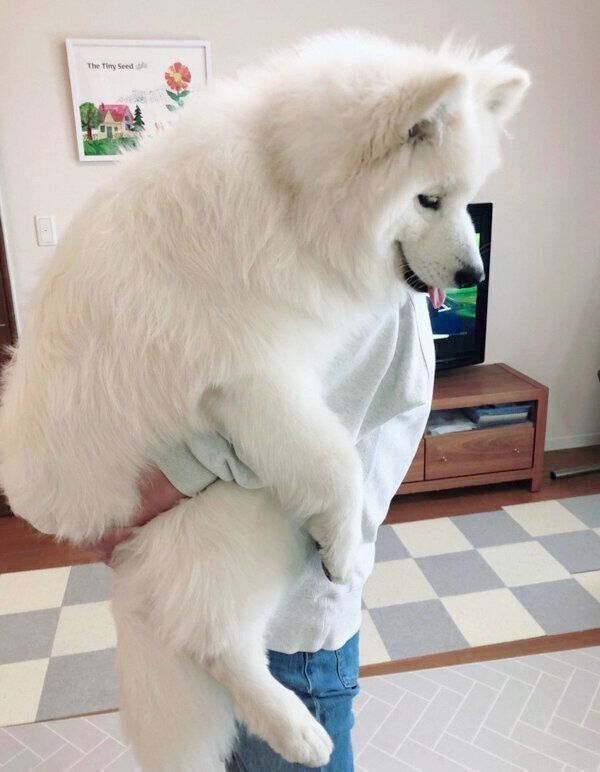 抱っこされるサニーちゃん