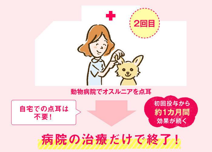 オスルニアによる治療 2回目