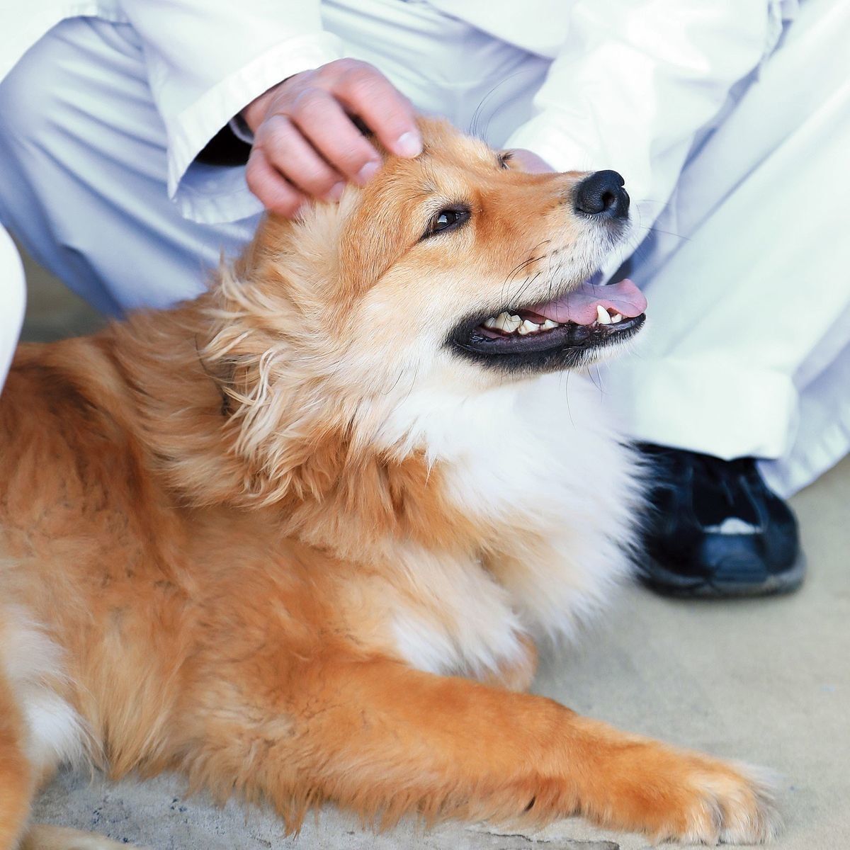 <span style="font-size:smaller;">撮影／尾﨑たまき</span>