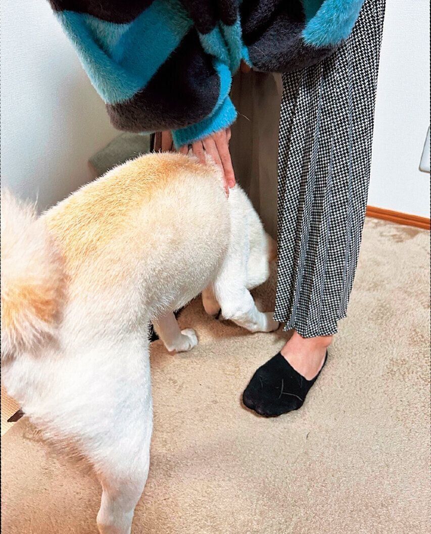 スカートの中に突入！