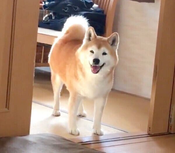 笑顔のロペさん