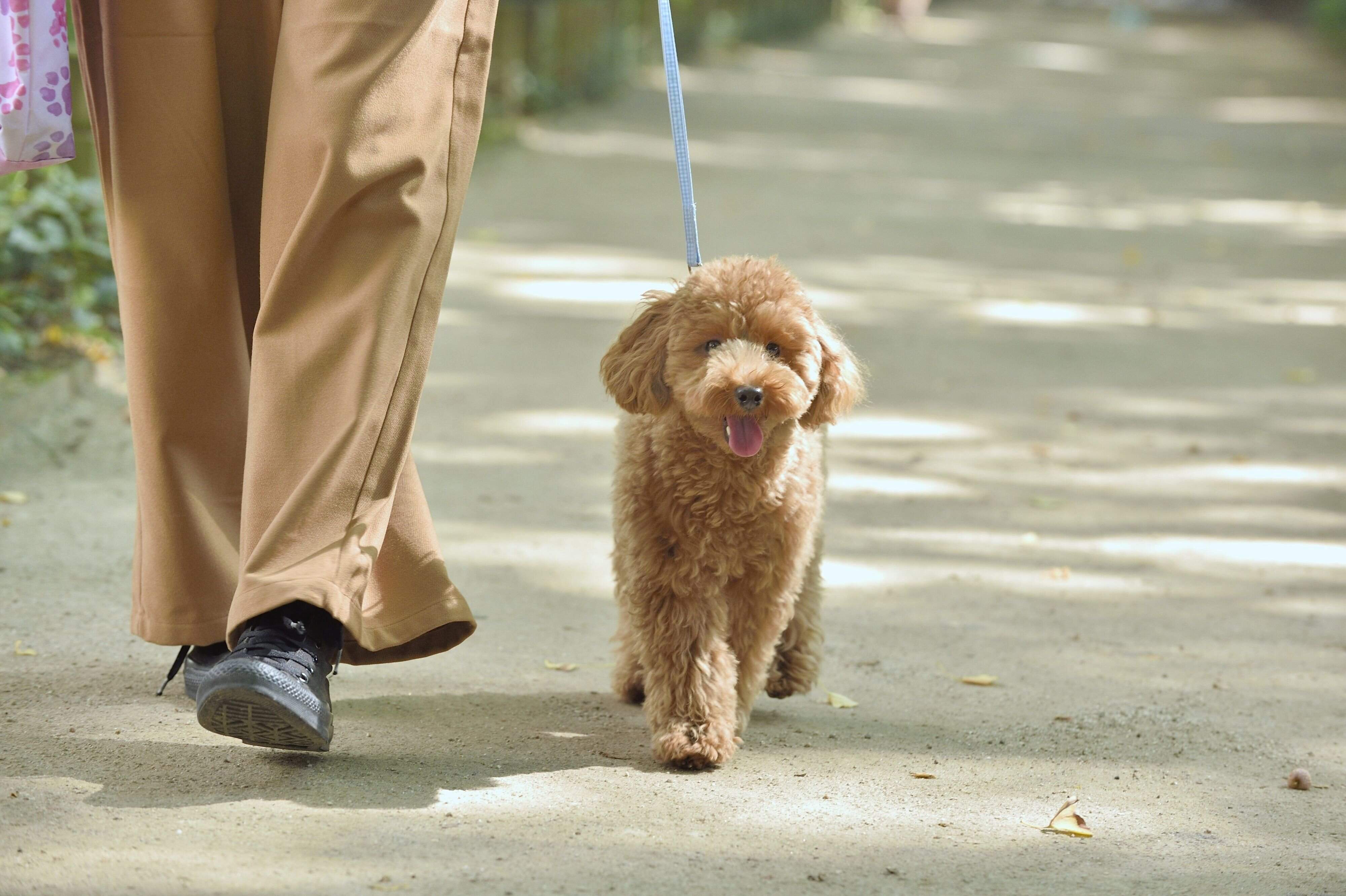 撮影／佐藤正之