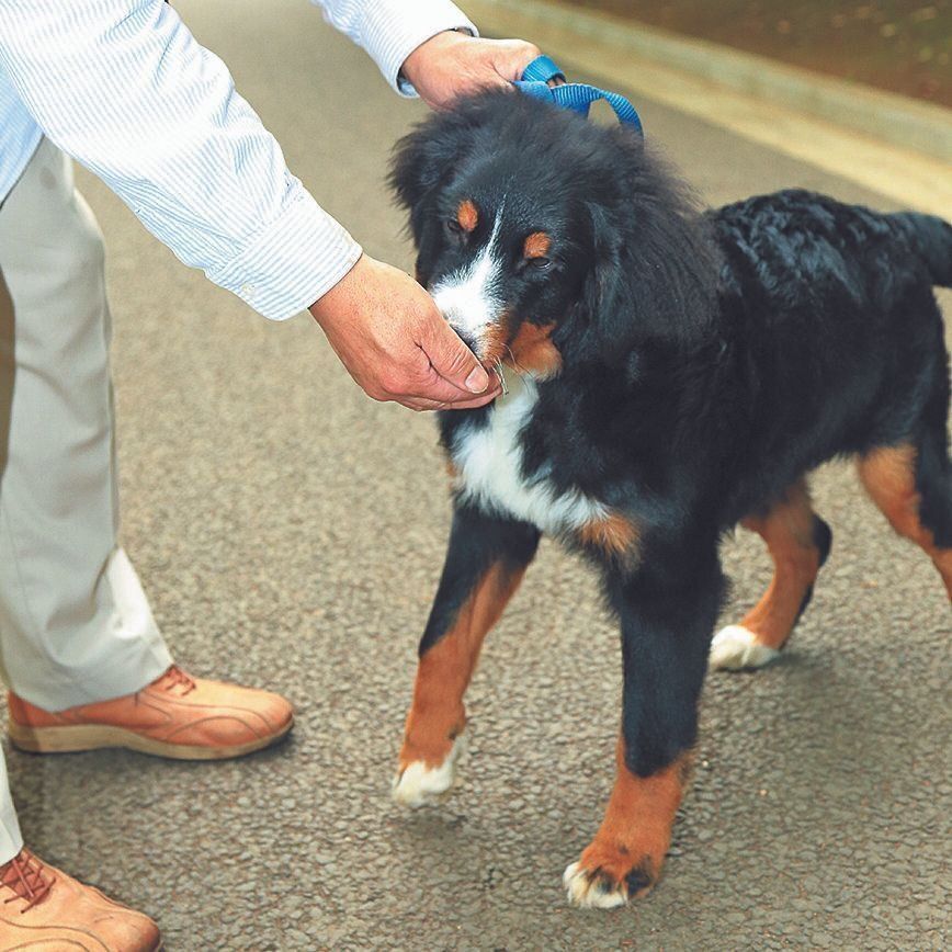 撮影／尾﨑たまき