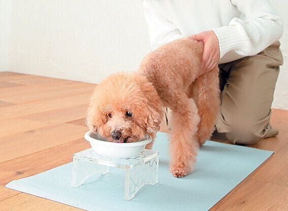 ごはんを立たせたまま食べる
