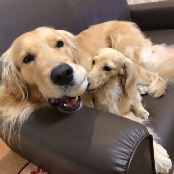 「僕たちはいつも一緒なんだ。」「ねぇ。ボールちょうだい。」