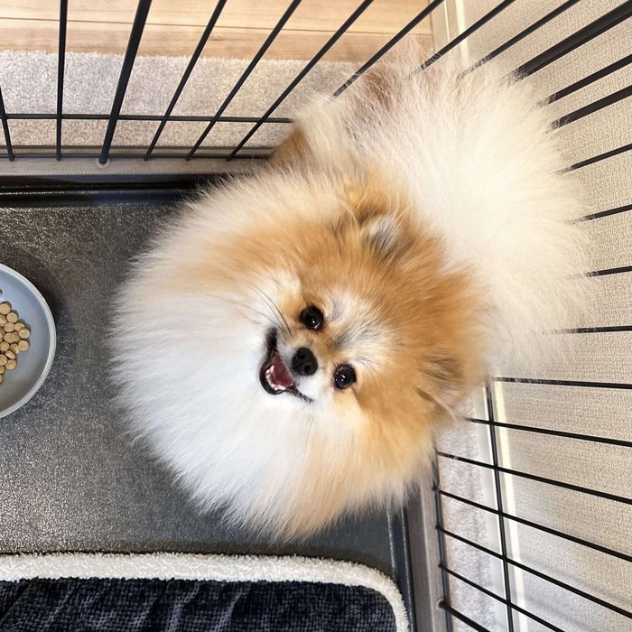 生後10カ月のはるこちゃん。