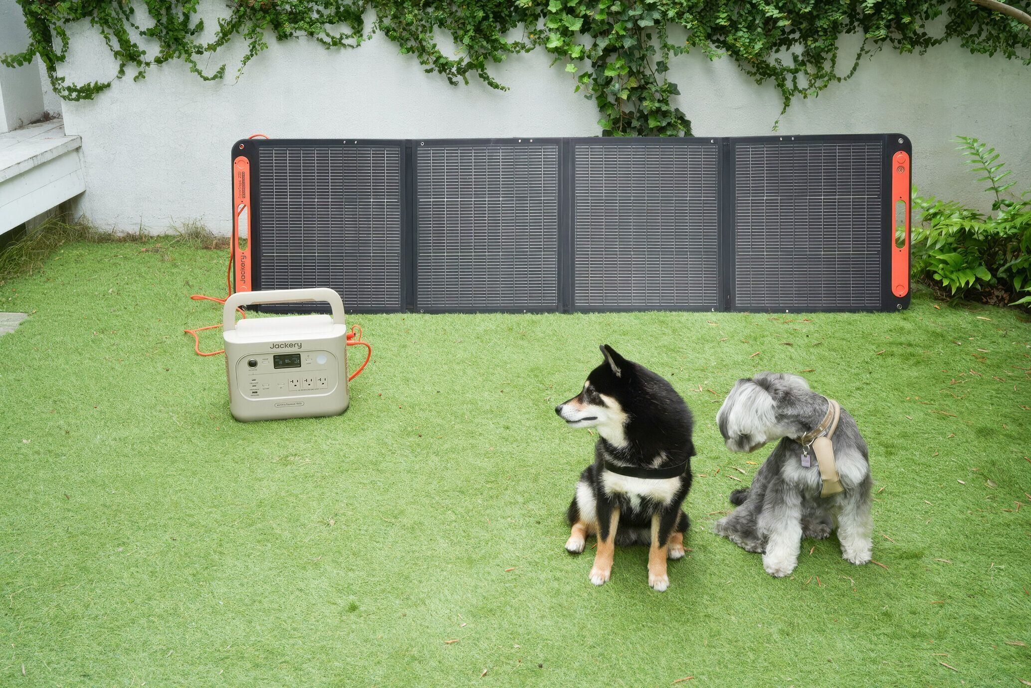 犬とお出かけ　キャンプ　ドッグラン　愛犬の酷暑対策　暑さ対策　　Jackery　ジャクリ　ポータブル電源　ソーラパネル