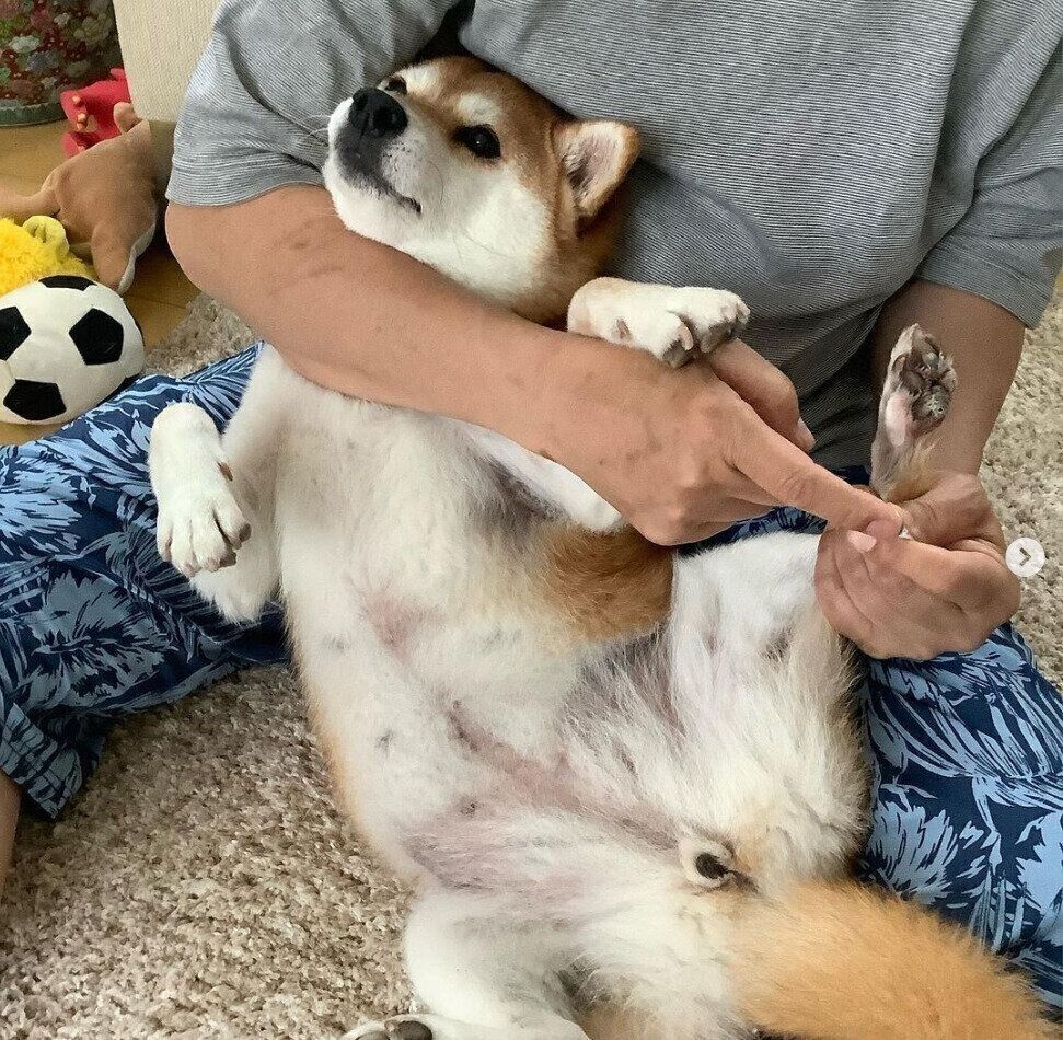 大好きなパパと茶々丸ちゃん