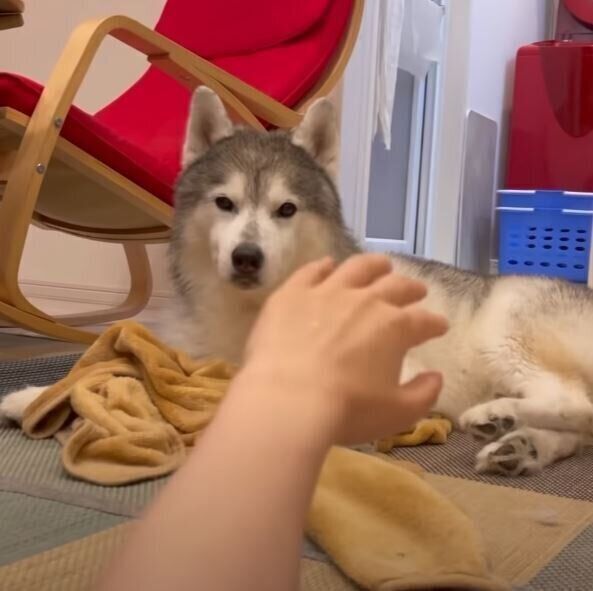 かわいい文太くん♡