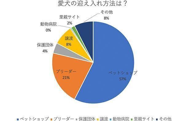 愛犬の迎え入れ方法は?
