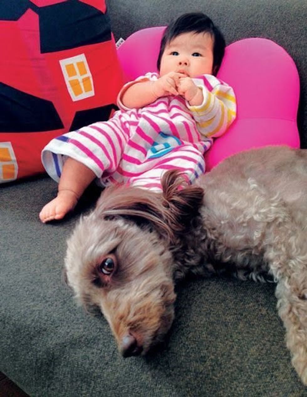 犬と犬 犬と子どもがピッタリと寄り添うのはなぜ いぬのきもちweb Magazine 犬と犬 犬と子どもがピッタリと寄り添うのはなぜ いぬのきもちweb Magazine