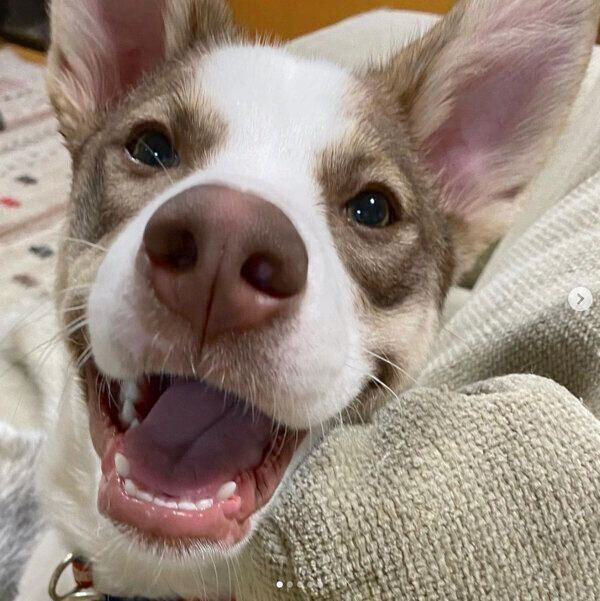 笑顔のバロンくん