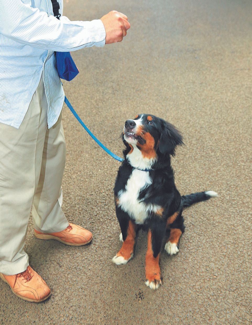 撮影／尾﨑たまき