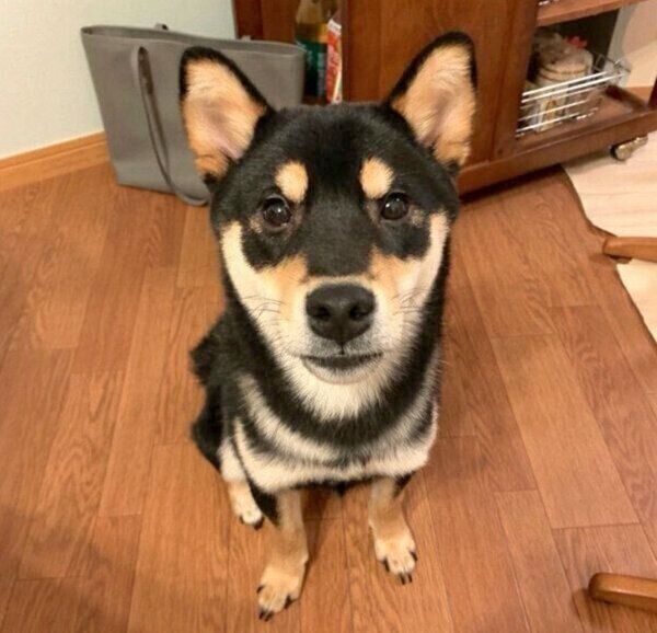 生後6カ月の澄くん