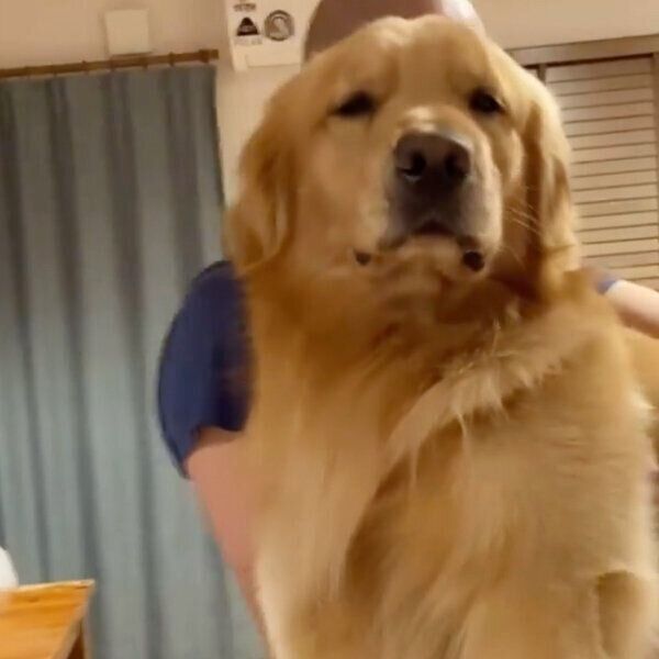 お風呂に入りたくなくて、ふてくされるモッシュくん