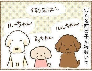 連載「こぐま犬てんすけ」vol.87