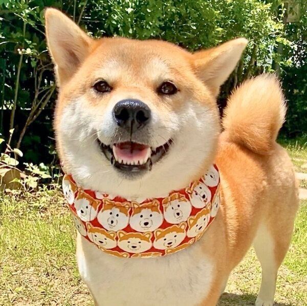 笑顔のユクちゃん